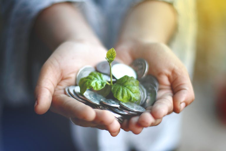 Hands cupping coins with a green plant sprouting, symbolizing financial growth.